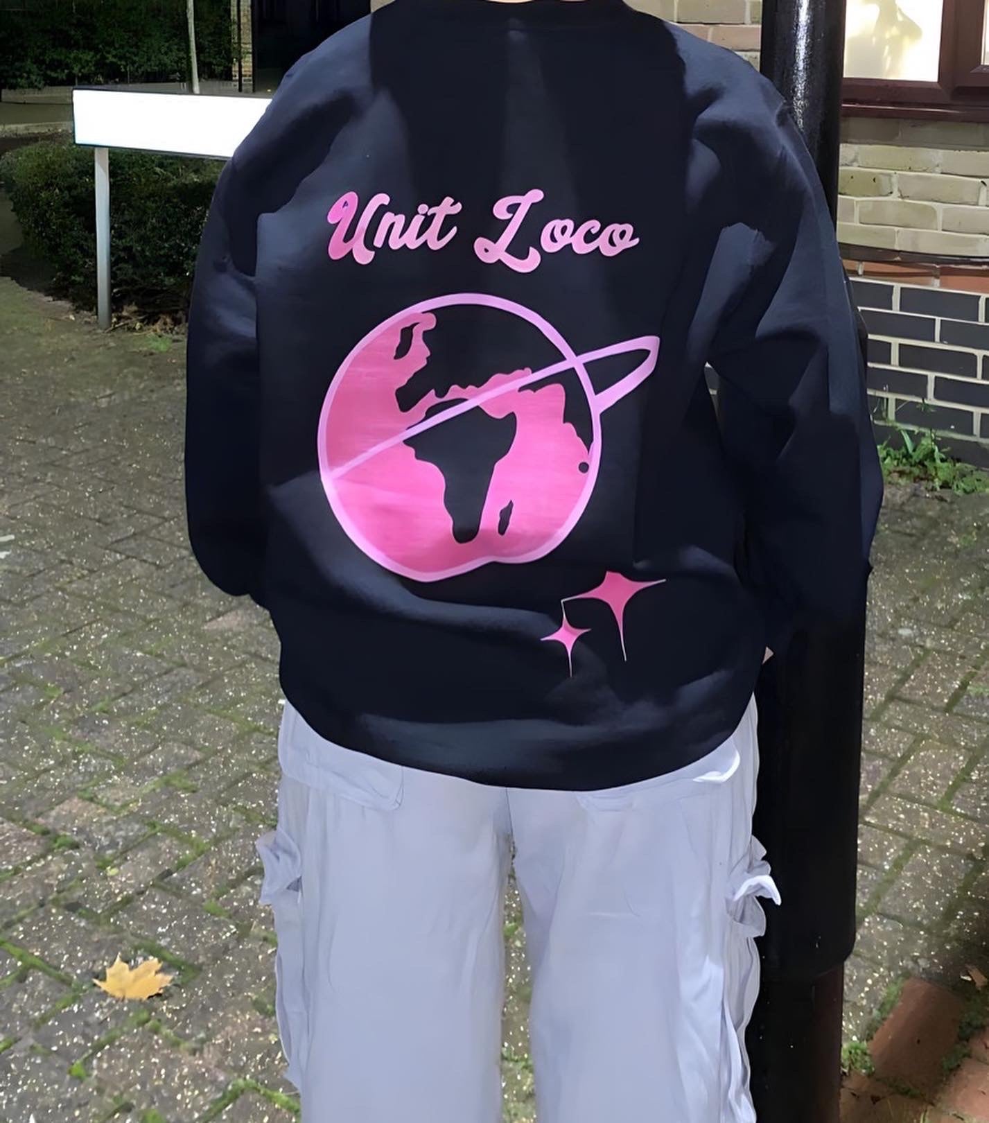 Go Pink Planet Sweatshirt - Unit Loco - Backside